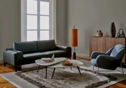 Hot Leolux Anton Fauteuil