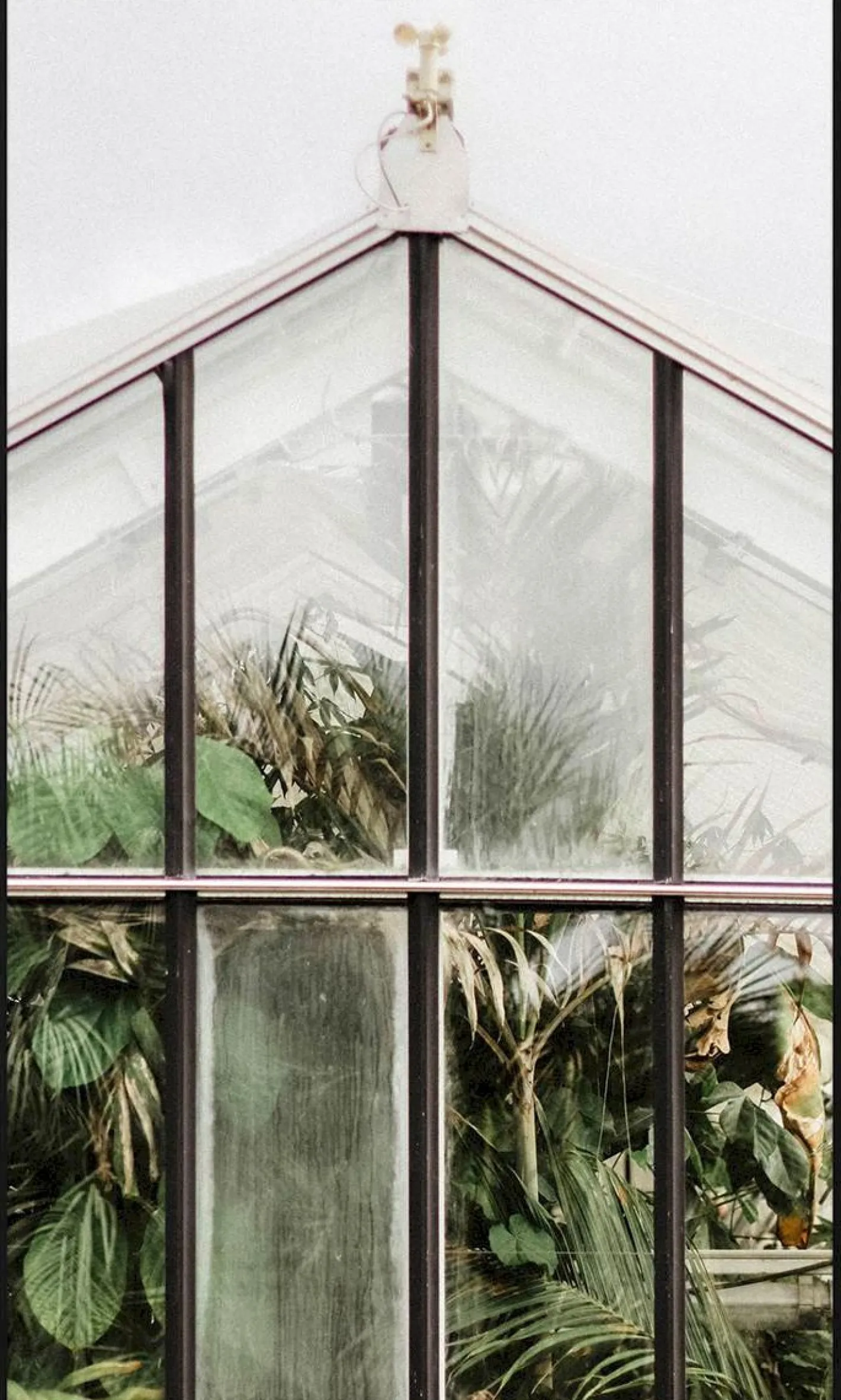 Trendhopper Botanical Stories Wanddecoratie Multi