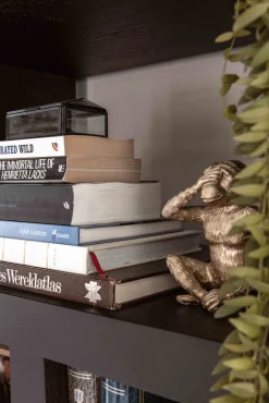 Discount Eijerkamp Collectie Bright Vakkenkast Luxury Brown