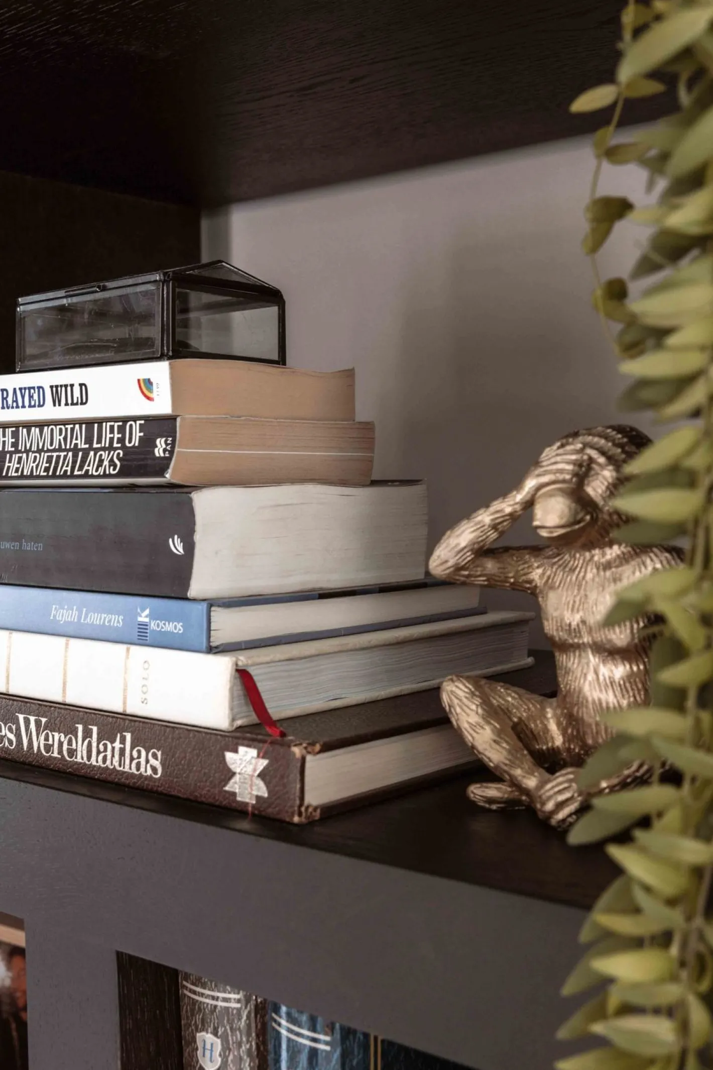 Discount Eijerkamp Collectie Bright Vakkenkast Luxury Brown