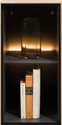 XOOON Elements 2 Niches Kast Natural