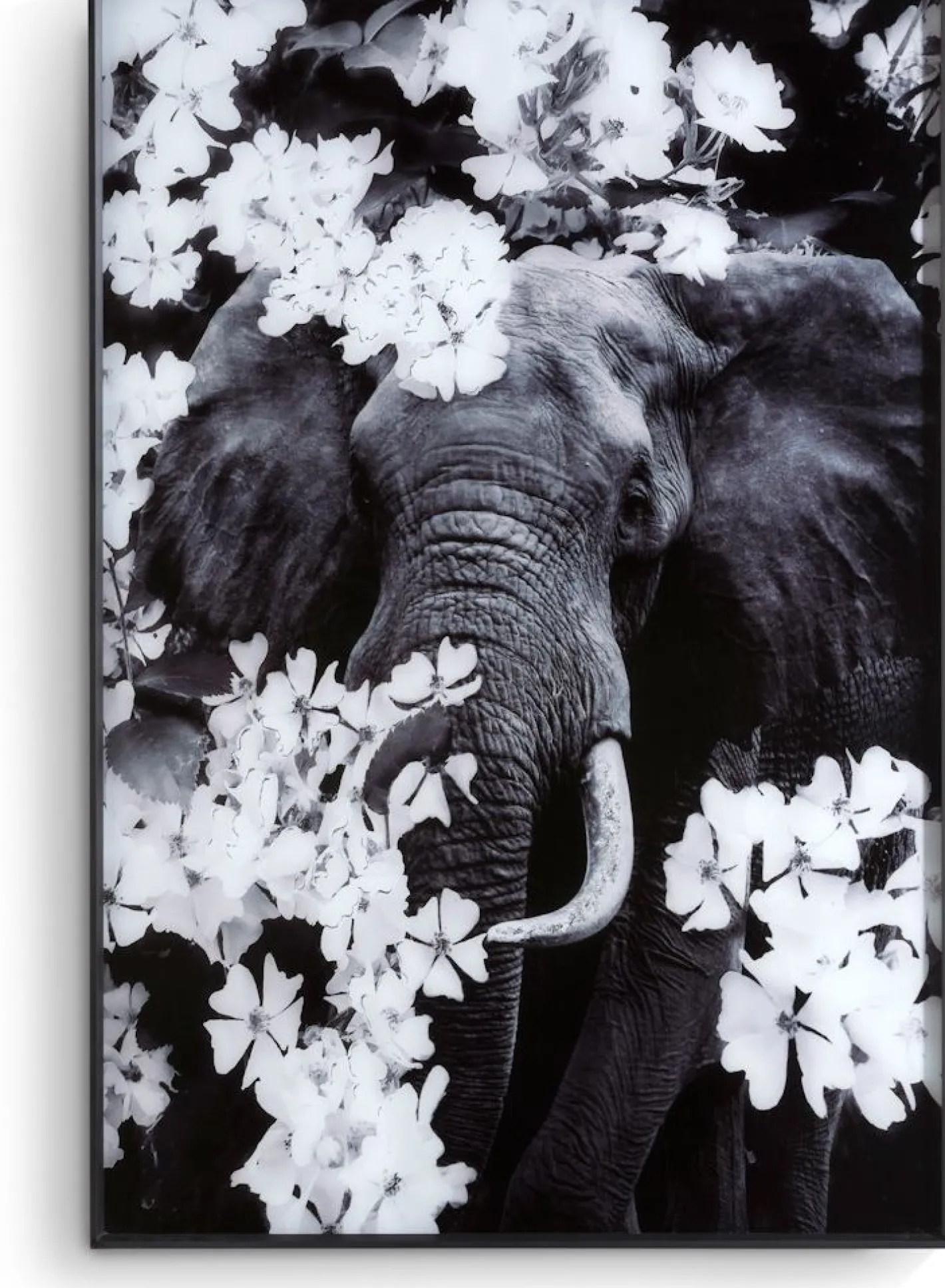 Hot COCO maison Flower Elephant Wanddecoratie Zwart, Grijs, Wit