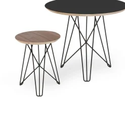 Clearance Pastoe Ijhorst Bijzettafel bruin