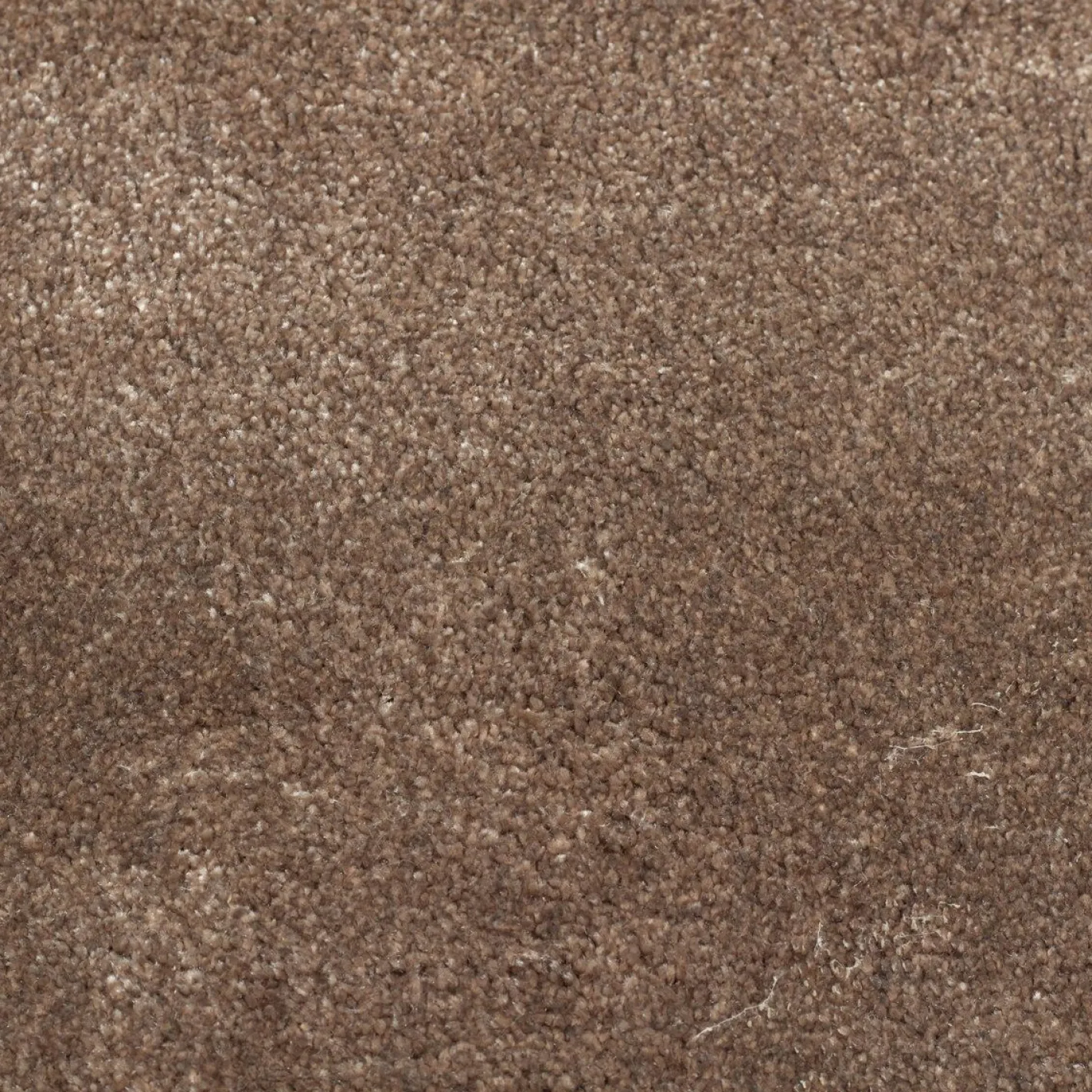 New Brinker Carpets Orvieto Vloerkleed Taupe