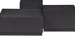 Online WOOOD Pim Set van 3 Bijzettafels Black
