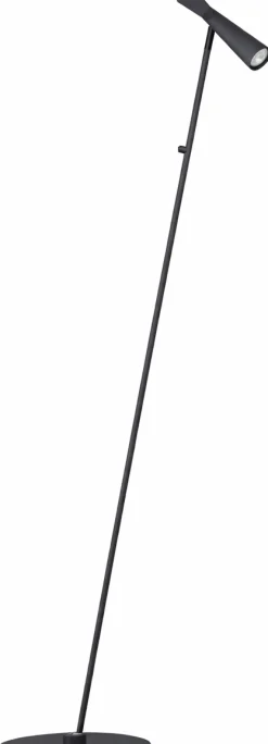 Clearance Eijerkamp Collectie Pisa Vloerlamp Zwart