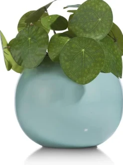 Discount COCO maison Plano M Vaas MINT
