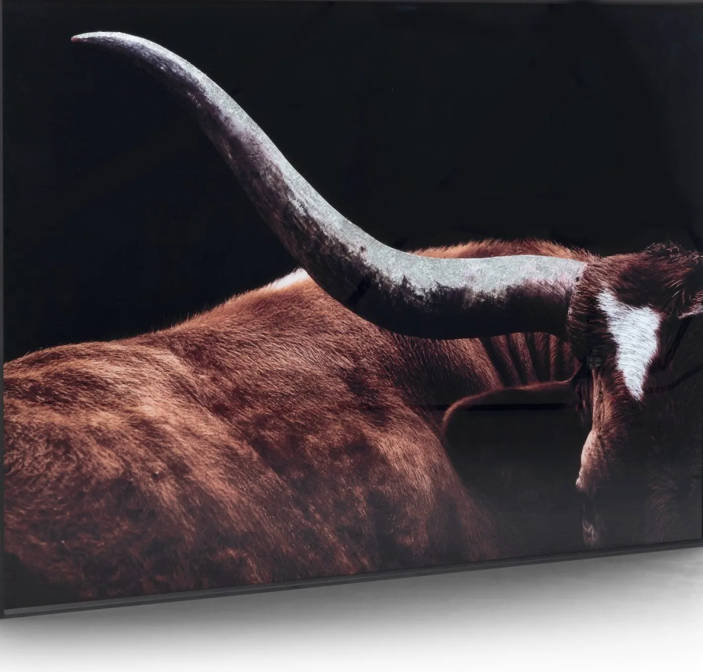 Sale COCO maison Rodeo Schilderij Zwart, Bruin