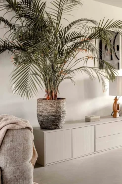 Best vtwonen Settle Down Tv-meubel Dust