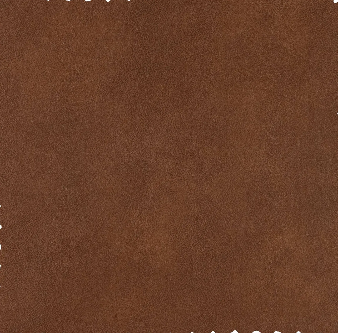 Discount WOOOD Statement 4-Zitsbank Cognac