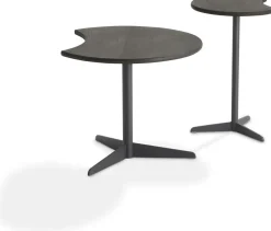 Hot LABEL Vandenberg Taboo Bijzettafel Rusty Oak