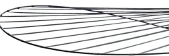 Sale Petite Friture Vertigo M Hanglamp Zwart