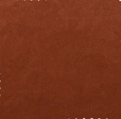 Clearance WOOOD Vogue Eetkamerstoel Rust