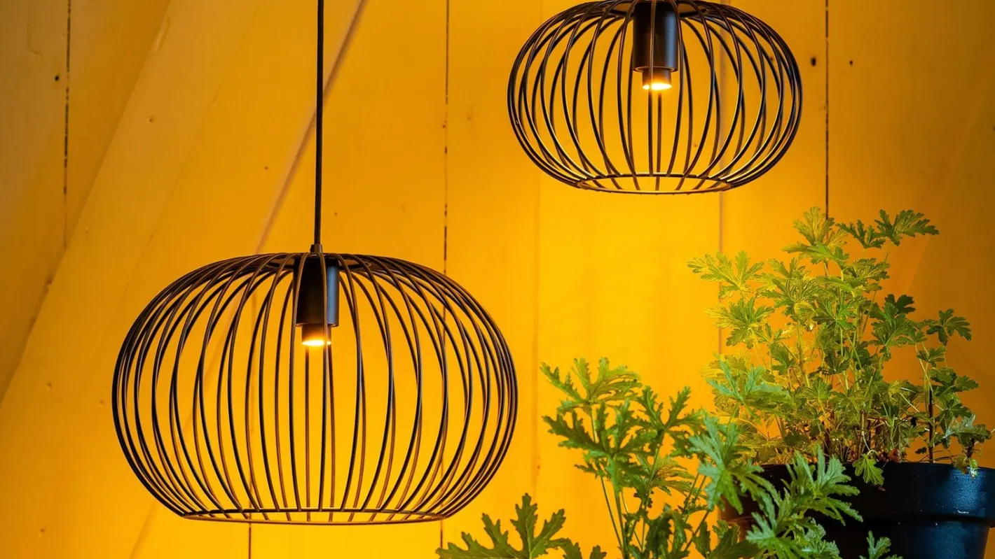 New Eijerkamp Collectie Wire 2.0 Plafondlamp Zwart